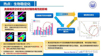 城市污水厂污泥处置工艺技术路线——同济戴晓虎教授技术推广
